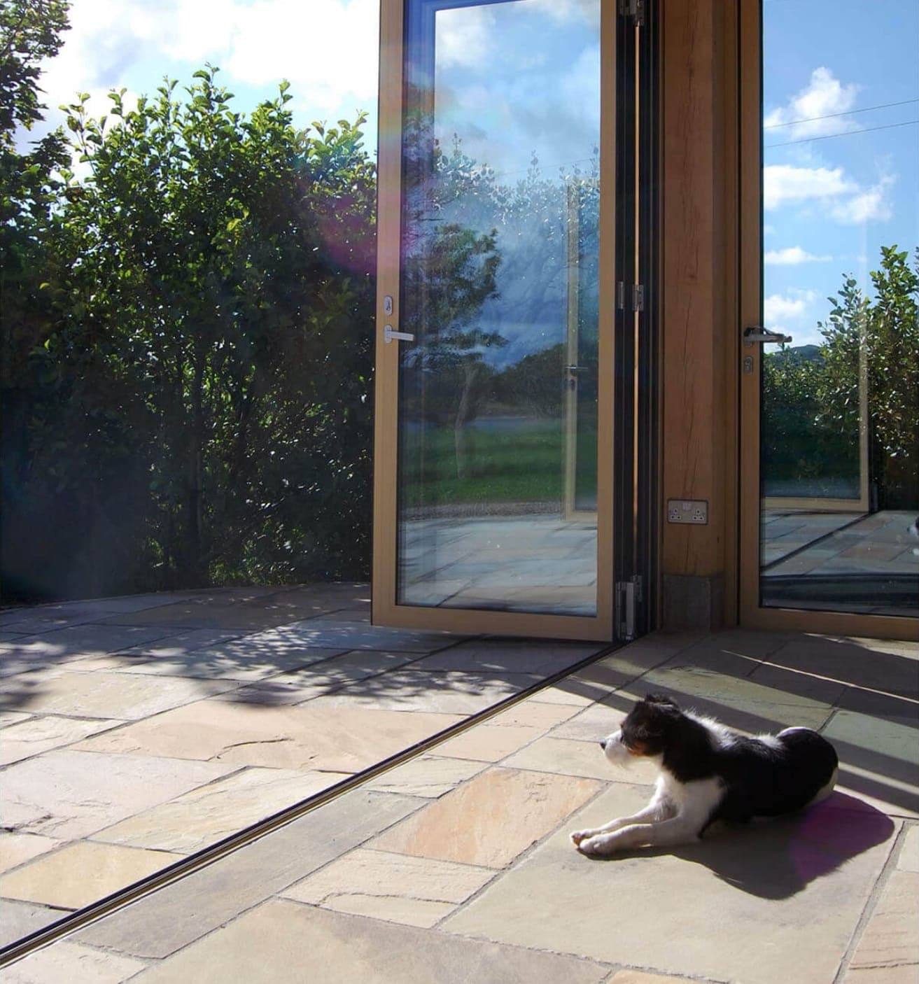 A black and white puppy lying in the sun on a stone floor, where oak-framed glass folding doors stand open onto a paved terrace and hedge